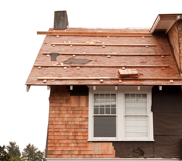  Willmar, MN Siding Installation & Repair Pros